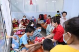 Các nhãn hàng của Unilever Việt Nam triển khai Chương trình “Vì một mùa Tết yêu thương” 