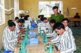 Bắc Giang: Nâng cao chất lượng, hiệu quả công tác hỗ trợ đào tạo nghề, giải quyết việc làm cho đối tượng chấp hành xong án phạt tù tái hòa nhập cộng đồng