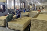 Gần 6.300 lao động ở Bắc Kạn được giảm mức đóng Bảo hiểm tai nạn lao động 