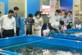 Khai trương chuỗi thủy sản an toàn CHOCAVI (Chợ cá Việt)