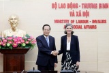 Bộ trưởng Đào Ngọc Dung: UNDP nghiên cứu hỗ trợ người khiếm thị Việt Nam thiết bị thông minh