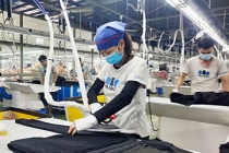 Quảng Nam chi trả tiền hỗ trợ gần 100.000 lao động từ Quỹ bảo hiểm thất nghiệp