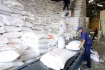 More than 484 tons of rice to support needy people in Ha Giang province
