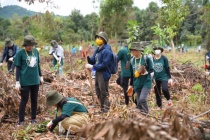 L’Oréal Việt Nam ký kết thỏa thuận trồng và chăm sóc 4ha rừng nguyên sinh 
