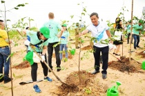 Tập đoàn LEGO trồng 50.000 cây xanh, bước đầu trong chuỗi các dự án phát triển bền vững tại Việt Nam