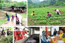 Lào Cai: Mục tiêu giảm hộ nghèo 3-5%/năm trong giai đoạn 2021-2025