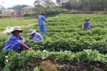 Trung tâm Bảo trợ xã hội tỉnh Thừa Thiên Huế: Đảm bảo vệ sinh môi trường, nâng cao chất lượng phục vụ