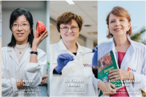 Nhận đơn đề cử Giải thưởng quốc tế L’Oreal – UNESCO For Women in Science năm 2024 dành cho các nhà khoa học nữ