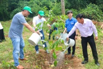 Khởi động Chương trình “Triệu cây xanh - Vì một Việt Nam xanh” năm 2023 cùng nhiều hoạt động thiết thực