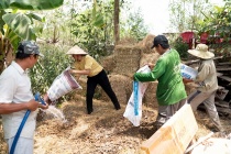 Huyện Châu Thành (An Giang): Tập trung thực hiện chính sách giảm nghèo nhanh và bền vững