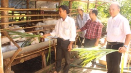 Nâng cao chất lượng đào tạo nghề cho lao động nông thôn ở huyện Cẩm Mỹ, tỉnh Đồng Nai