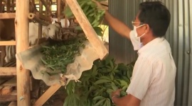 Bà Rịa - Vũng Tàu: Mô hình giảm nghèo bền vững giúp nông dân Xuyên Mộc vượt khó