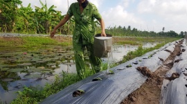 Huyện Trần Văn Thời (Cà Mau): Hướng đến mục tiêu giảm nghèo bền vững