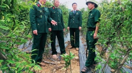 Cựu chiến binh Quảng Ninh: Sáng ngời phẩm chất Bộ đội cụ Hồ