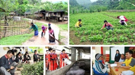 Lào Cai: Mục tiêu giảm hộ nghèo 3-5%/năm trong giai đoạn 2021-2025