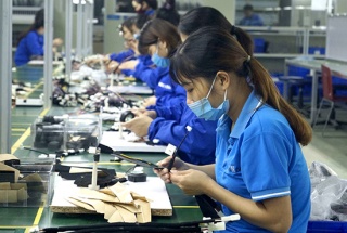 Phú Thọ tạo việc làm cho 159,7 nghìn lao động