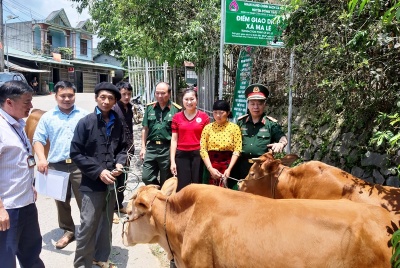 Tích cực giúp đỡ nạn nhân bom mìn tại Hà Giang khắc phục khó khăn trong cuộc sống