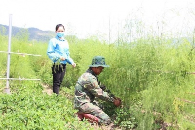 Tín dụng chính sách góp phần giải quyết việc làm cho đồng bào dân tộc thiểu số và miền núi Ninh Phước